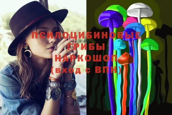 индика Алексеевка