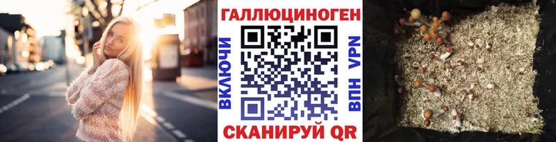 Псилоцибиновые грибы ЛСД  omg вход  Пугачёв 